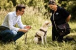 PASSION TRÜFFEL, TRÜFFELSUCHE, HUNDETRAINING, TRÜFFELAUSBILDUNG, TRÜFFELJÄGER